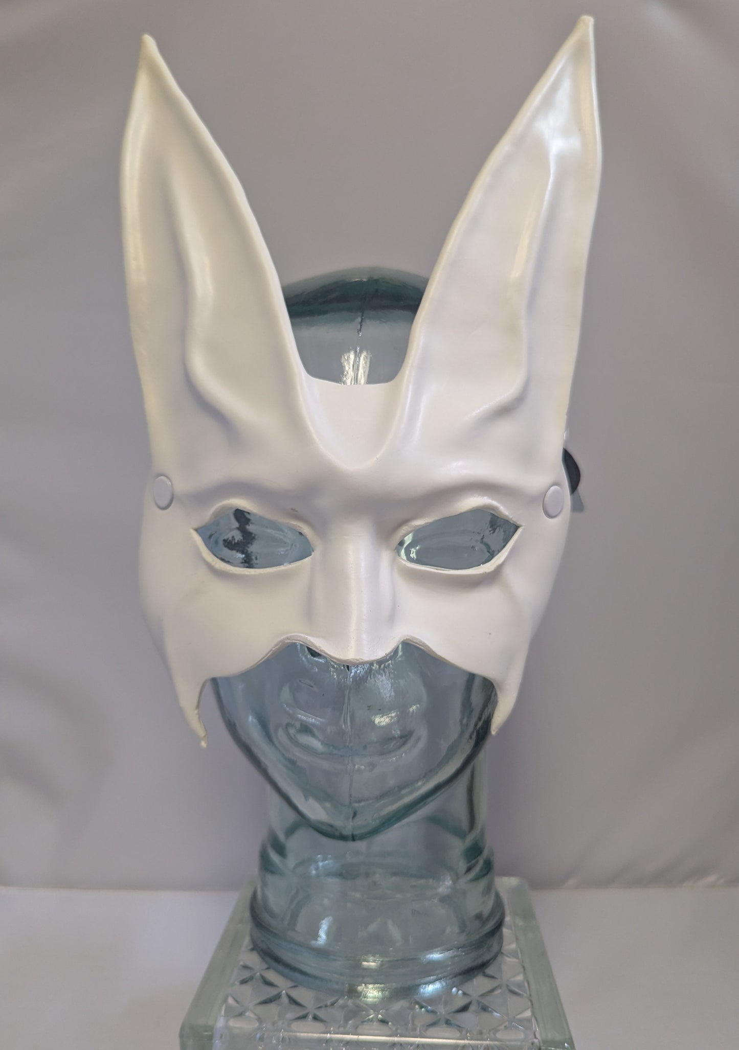 White Rabbit
