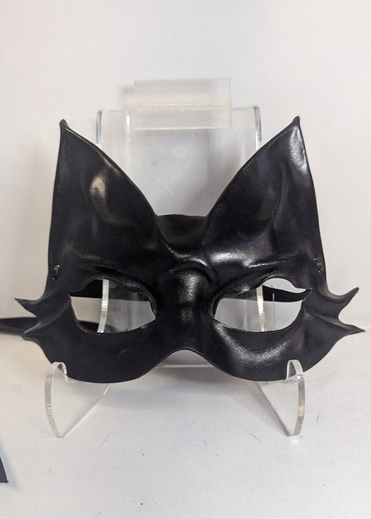 Black cat image 0