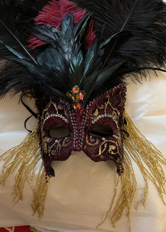 Fancy Burgundy Kitty image 0